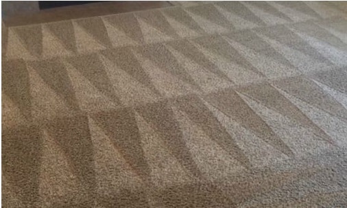 adelaide carpet cleaning after