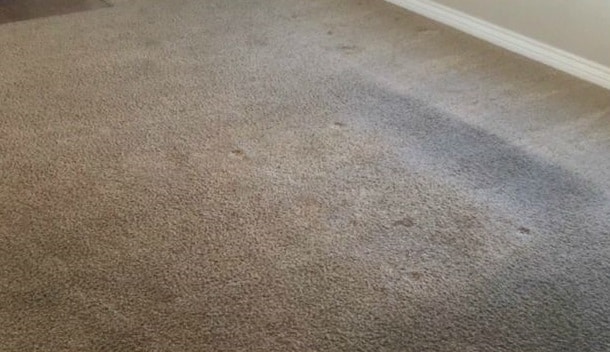 carpet cleaning adelaide before