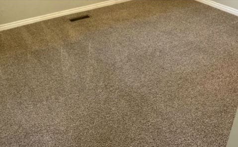 local carpet cleaners works in adelaide