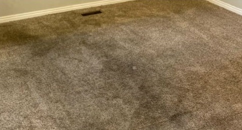 domestic carpet cleaning